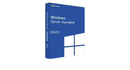 Windows Server 2022 Standard WINDOWS-2022-ST